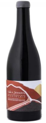 Desvignes - Beaujolais L'Aube Javernieres 2024